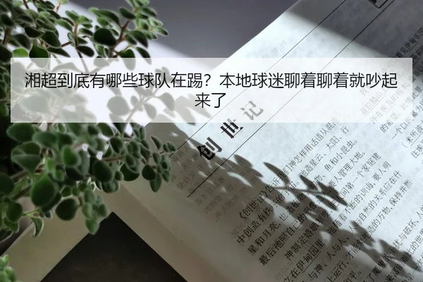 湘超到底有哪些球队在踢？本地球迷聊着聊着就吵起来了