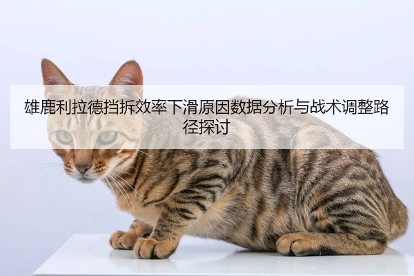 xiong-lu-li-la-de-dang-chai-xiao-lv-xia-hua-yuan-yin-shu-ju-fen-xi-yu-zhan-shu-tiao-zheng-lu-jing-tan-tao-2-689.jpg